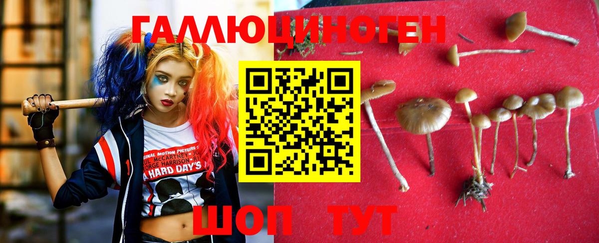 Галлюциногенные грибы мухоморы Унеча