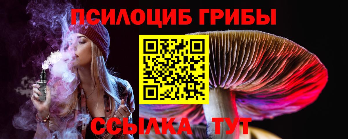 хочу   Вход с VPN  Унеча  Галлюциногенные грибы Cubensis 